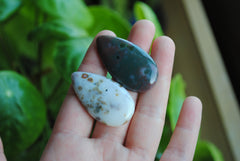 40 x 22mm drop Ocean Jasper cabochons
