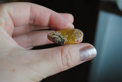 Ocean Jasper freeform cabochon