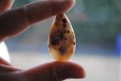 40 x 22mm drop Ocean Jasper cabochons