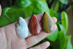 40 x 22mm drop Ocean Jasper cabochons