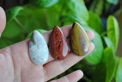 40 x 22mm drop Ocean Jasper cabochons