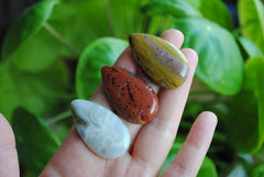 40 x 22mm drop Ocean Jasper cabochons