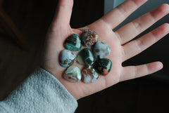 20mm trillion Ocean Jasper cabochons