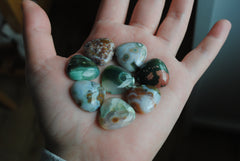 20mm trillion Ocean Jasper cabochons