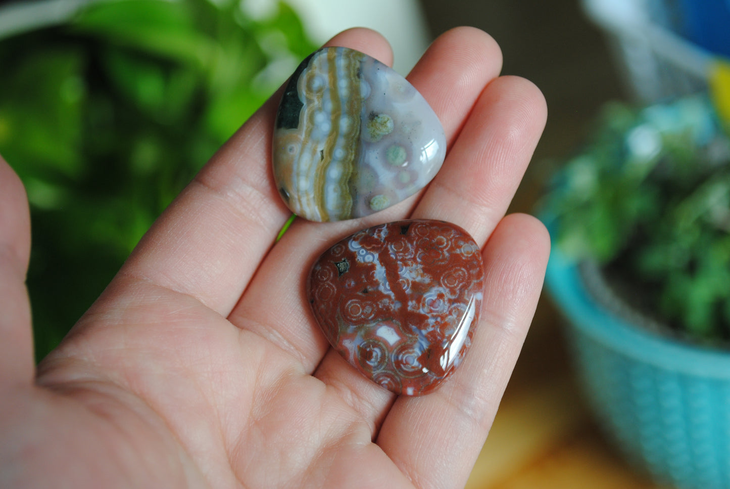 30mm trillion Ocean Jasper cabochons