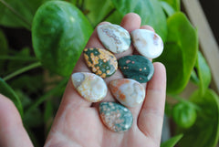 25x18mm drop Ocean Jasper cabochons (Lot A)