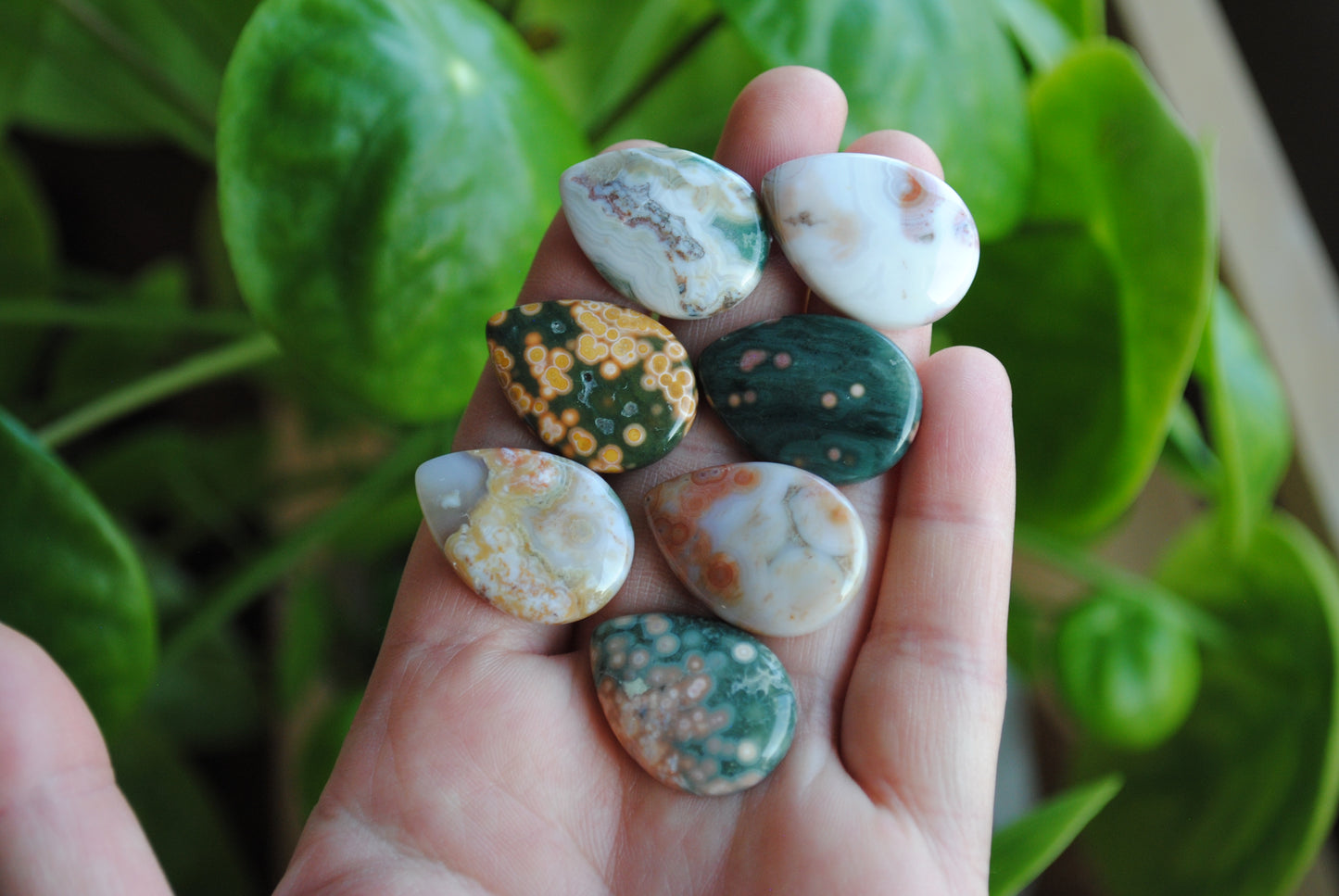 25x18mm drop Ocean Jasper cabochons (Lot A)