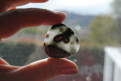 30mm trillion Ocean Jasper cabochons