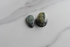 Tree Frog Variscite cabochons