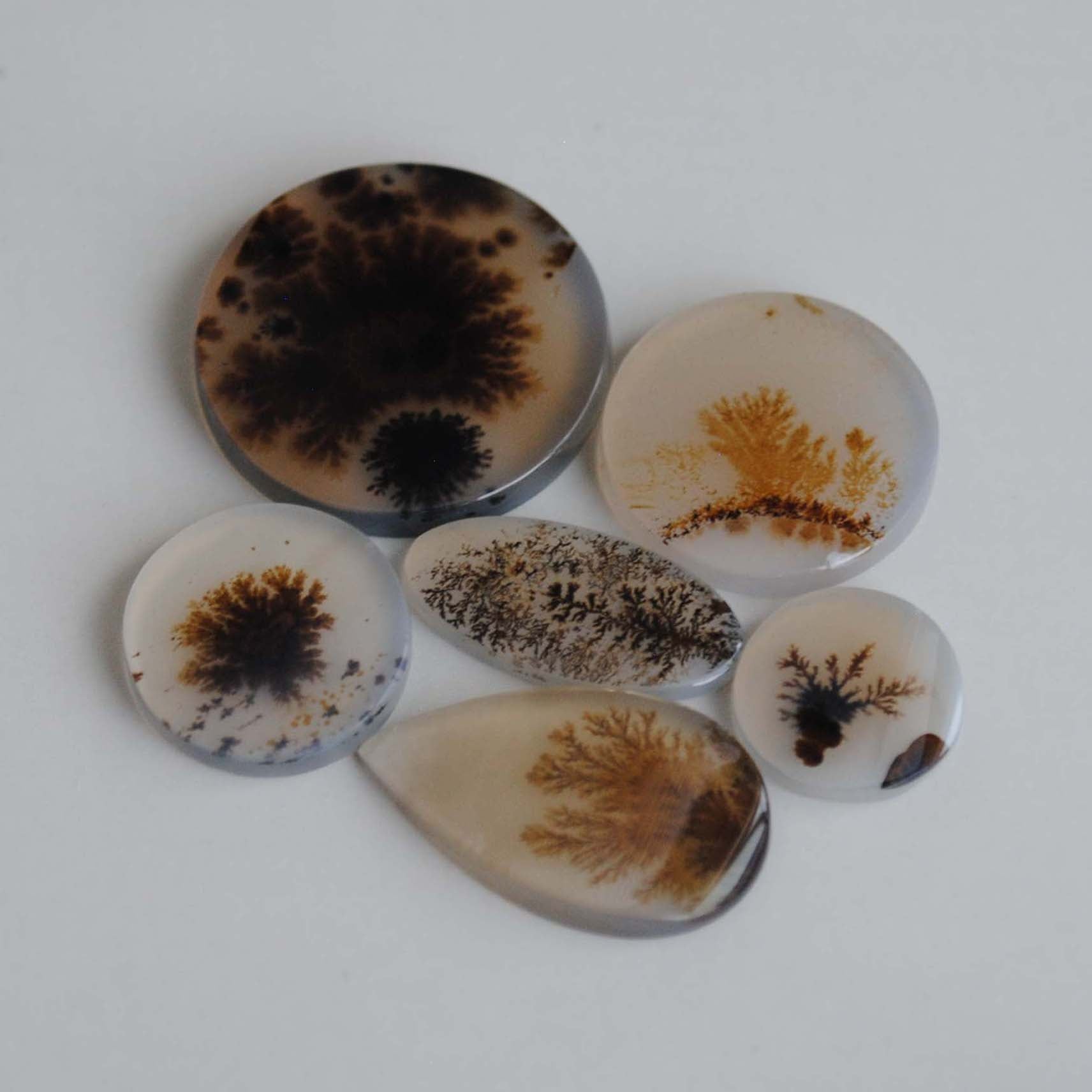 Dendritic agate stones with dendrite patterns on a light background