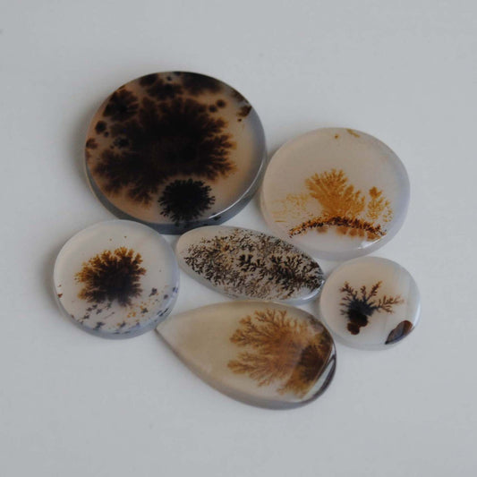 Dendritic agate stones with dendrite patterns on a light background