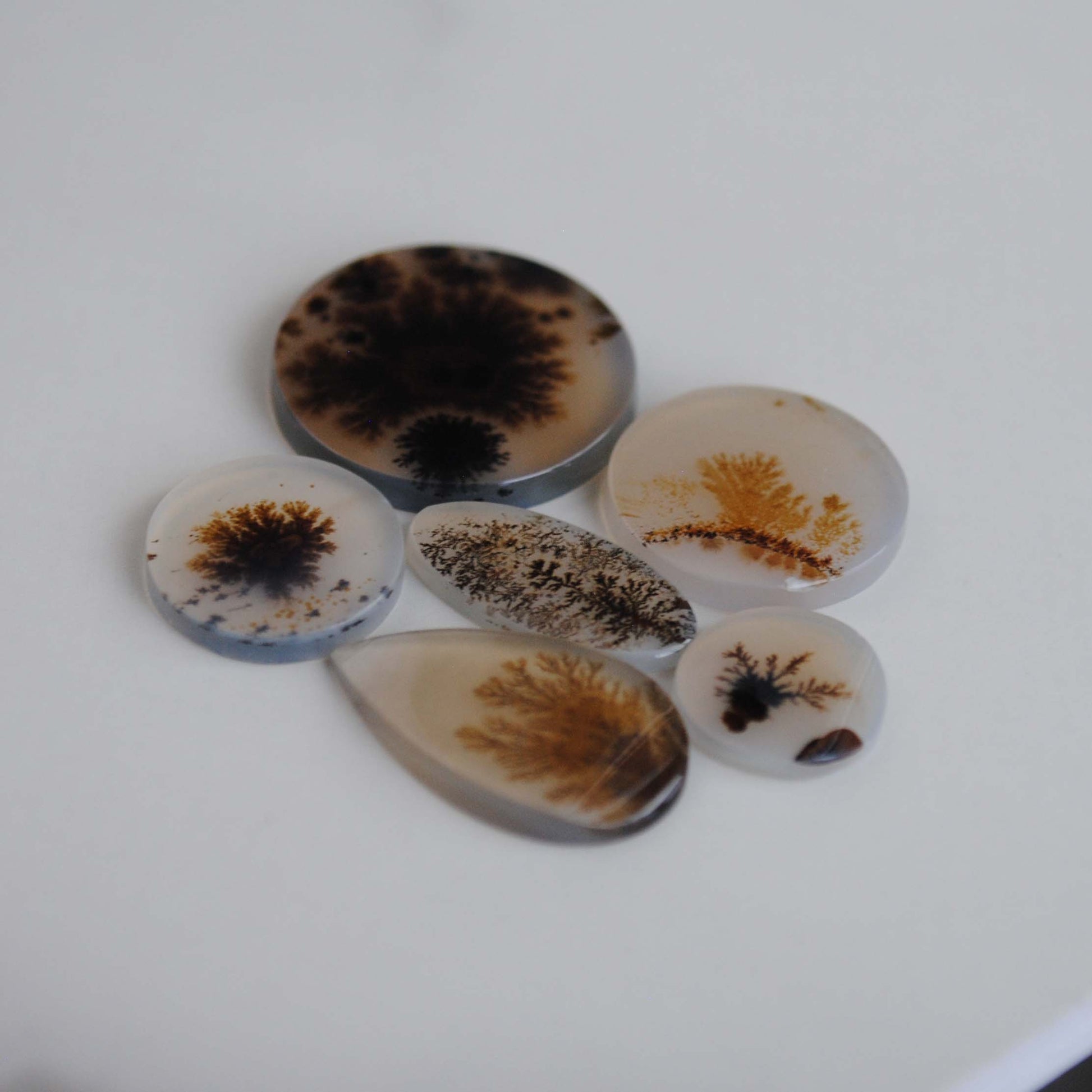 Dendritic agate stones with dendrite patterns on a light background