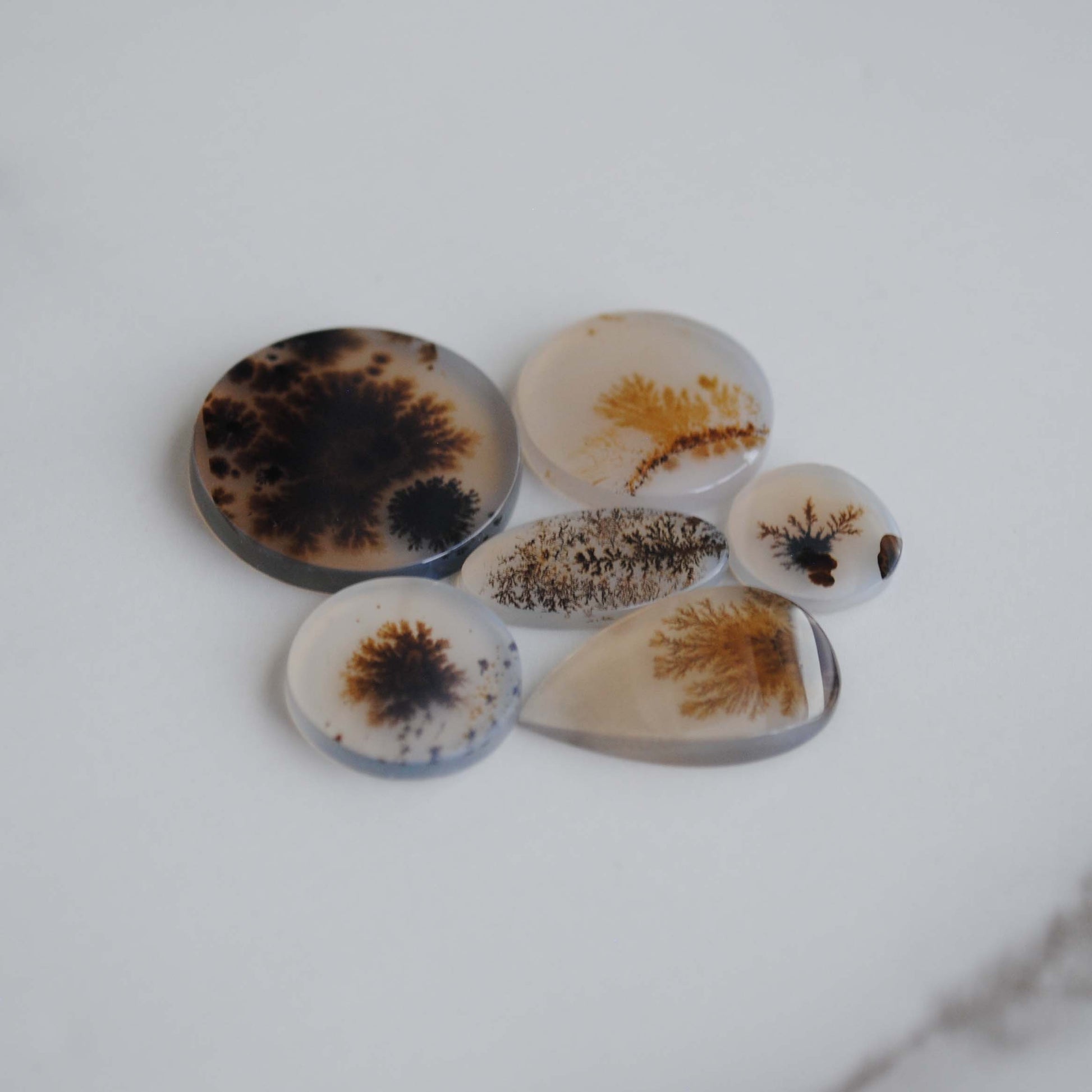 Dendritic agate stones with dendrite patterns on a light background