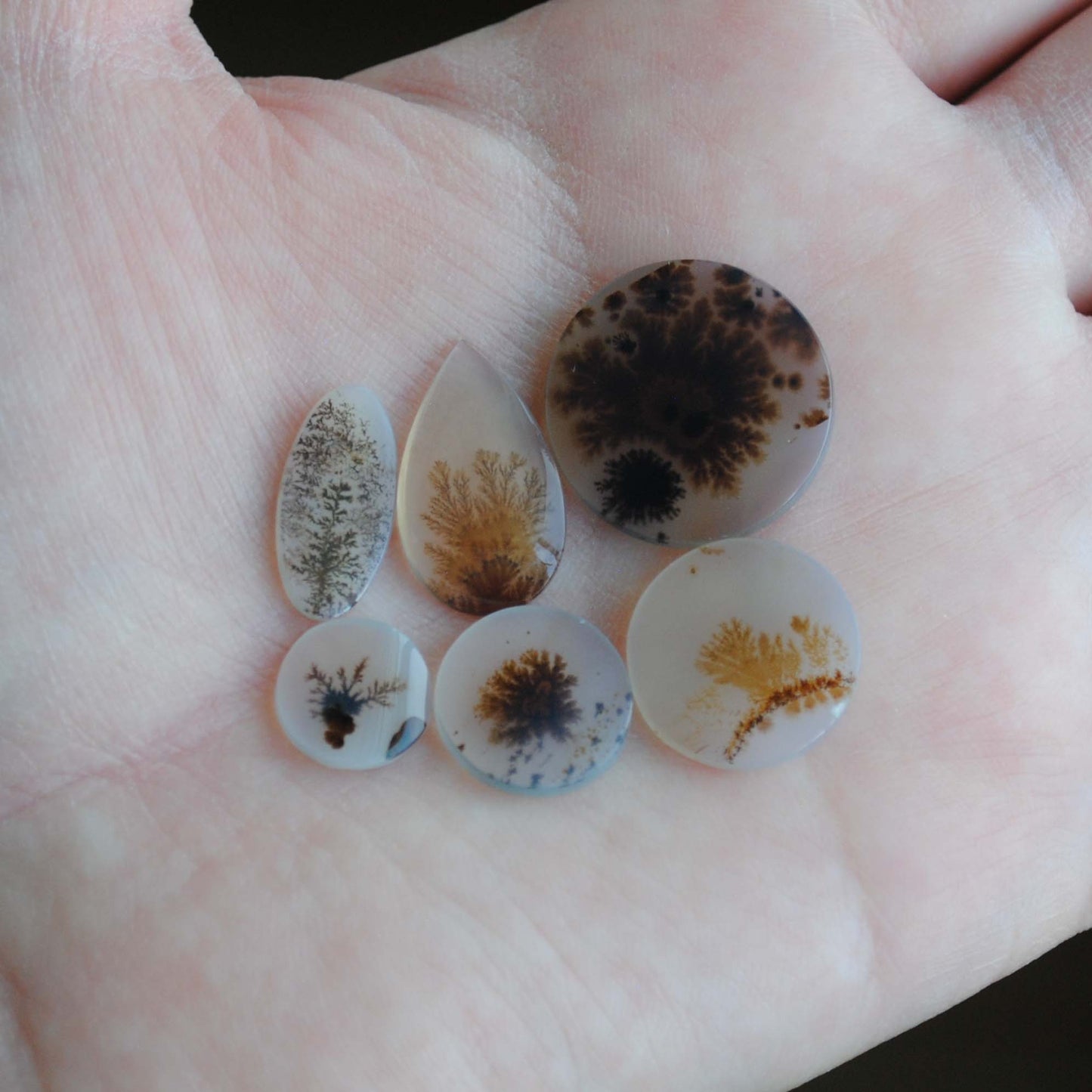 Dendritic agate stones with dendrite patterns on the palm of a hand
