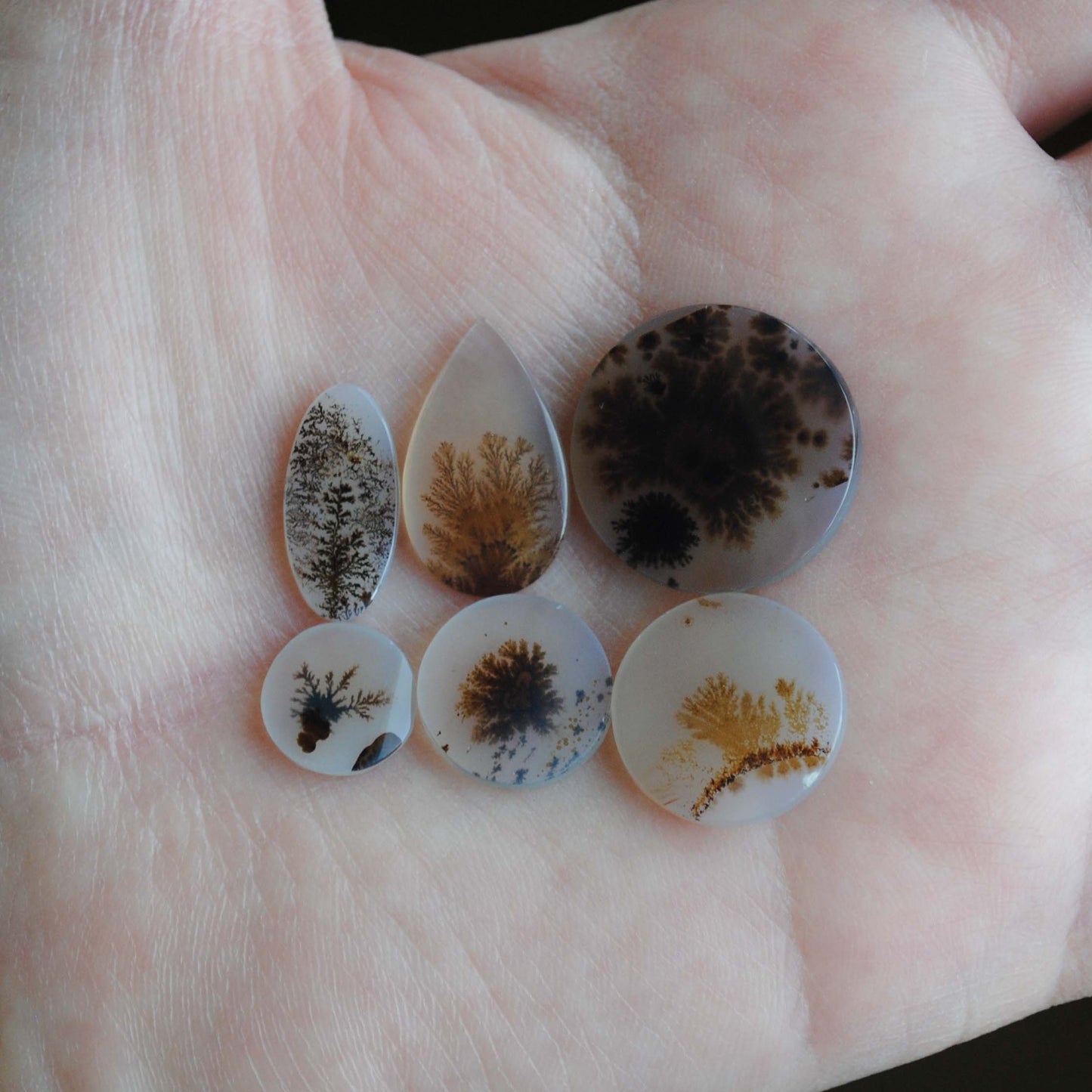 Dendritic agate stones with dendrite patterns on the palm of a hand