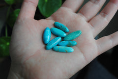 Kingman turquoise oval cabochons