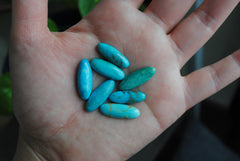 Kingman turquoise oval cabochons