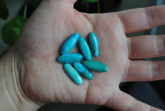 Kingman turquoise oval cabochons