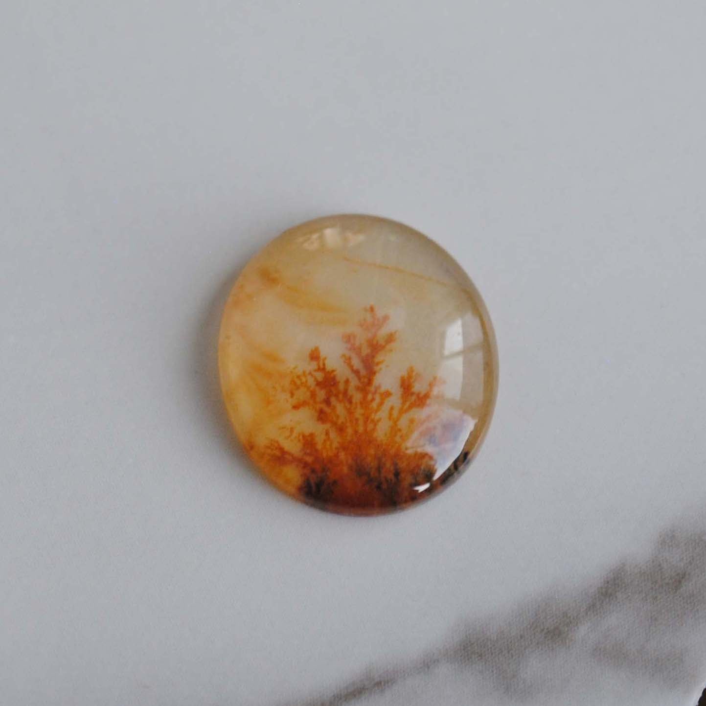 Dendritic agate stone with dendrite patterns on a light background