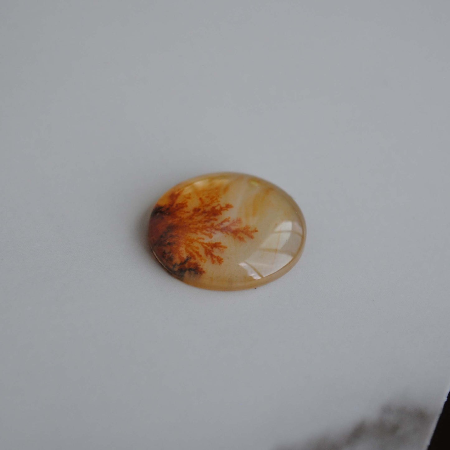 Dendritic agate stone with dendrite patterns on a light background