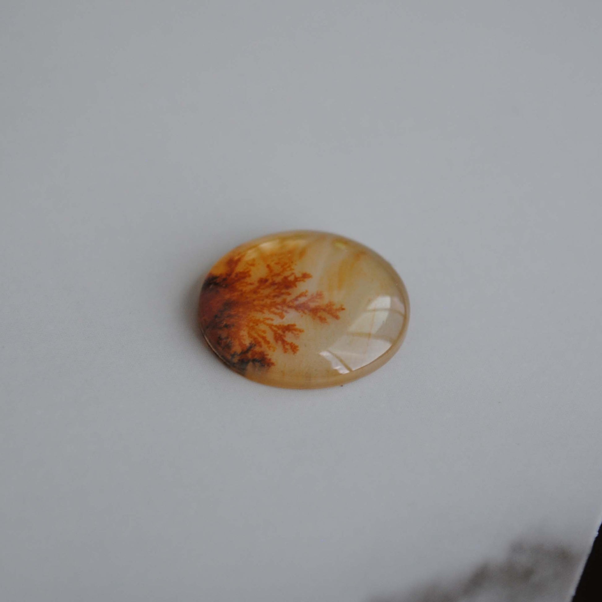 Dendritic agate stone with dendrite patterns on a light background