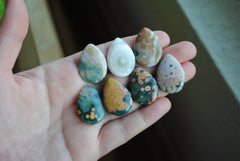 25x18mm drop Ocean Jasper cabochons (Lot F)