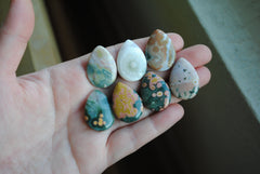 25x18mm drop Ocean Jasper cabochons (Lot F)