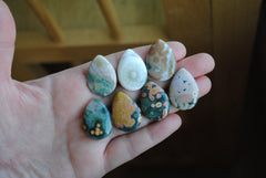 25x18mm drop Ocean Jasper cabochons (Lot F)