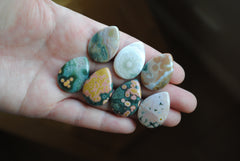 25x18mm drop Ocean Jasper cabochons (Lot F)
