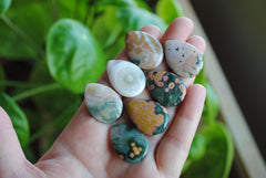 25x18mm drop Ocean Jasper cabochons (Lot F)