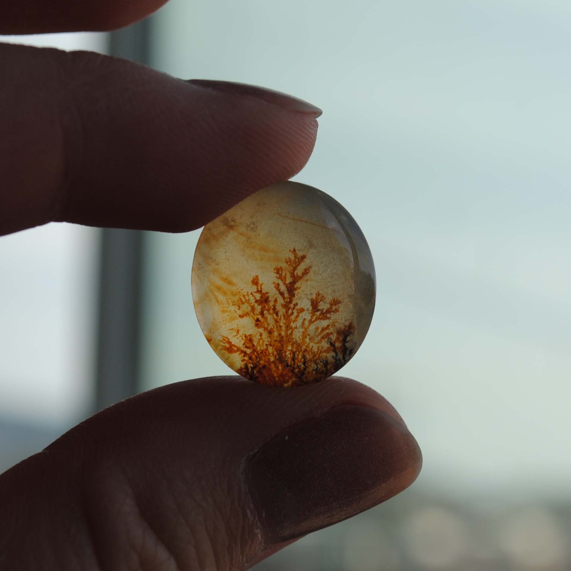 Dendritic agate stone held by fingers