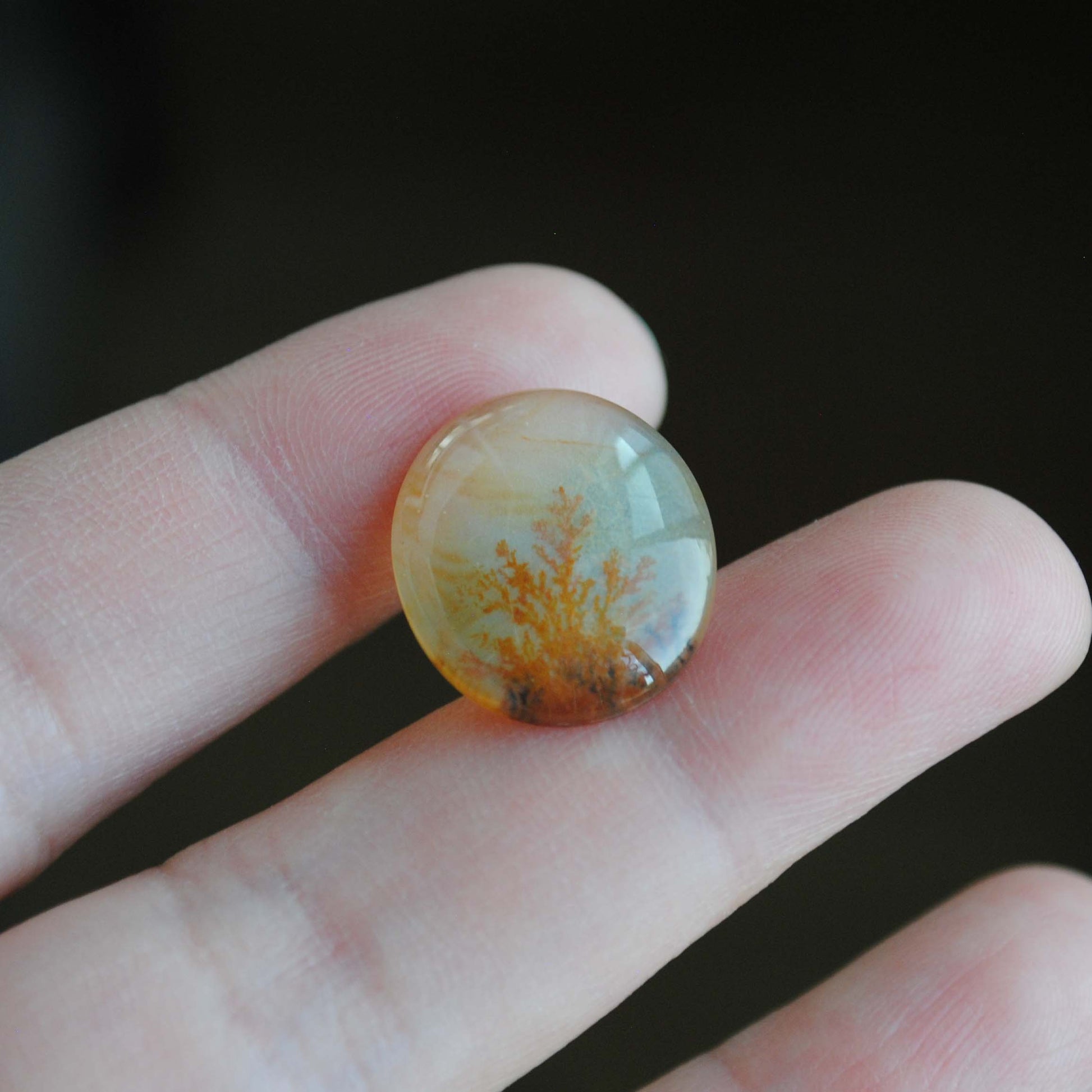Dendritic agate stone held by fingers