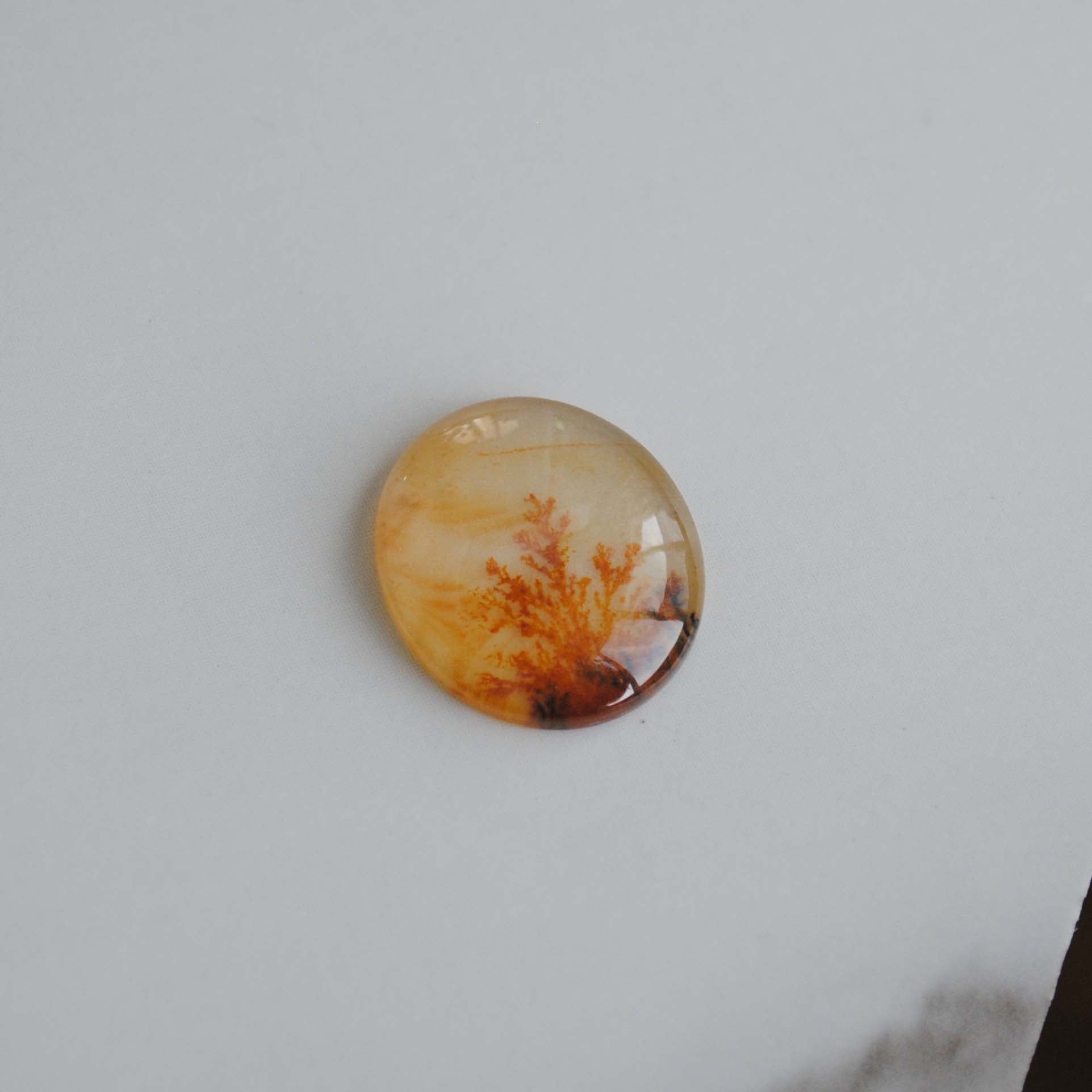 Dendritic agate stone on a light background