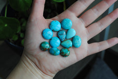 Kingman turquoise cabochons (mixed shape lot)