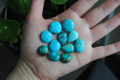 Kingman turquoise cabochons (mixed shape lot)