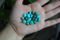 Kingman turquoise cabochons (mixed shape lot)