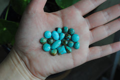 Kingman turquoise cabochons (mixed shape lot)