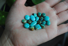 Kingman turquoise cabochons (mixed shape lot)