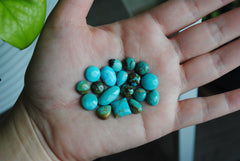 Kingman turquoise cabochons (mixed shape lot)