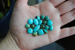 Kingman turquoise cabochons (mixed shape lot)