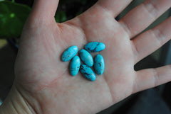 Kingman turquoise oval 8x16mm cabochons (Copy)
