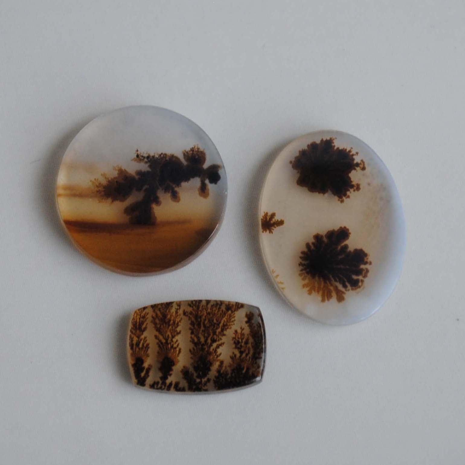 Dendritic agate stones on a light background