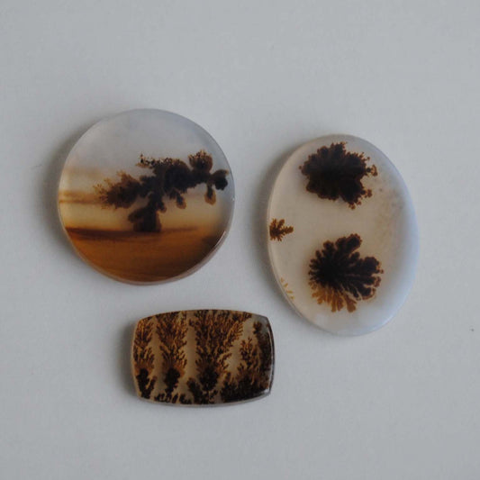 Dendritic agate stones on a light background