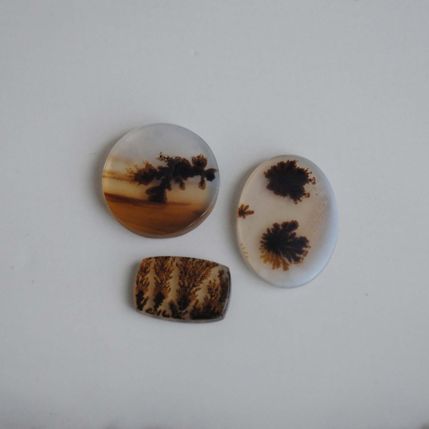 Dendritic agate stones on a light background