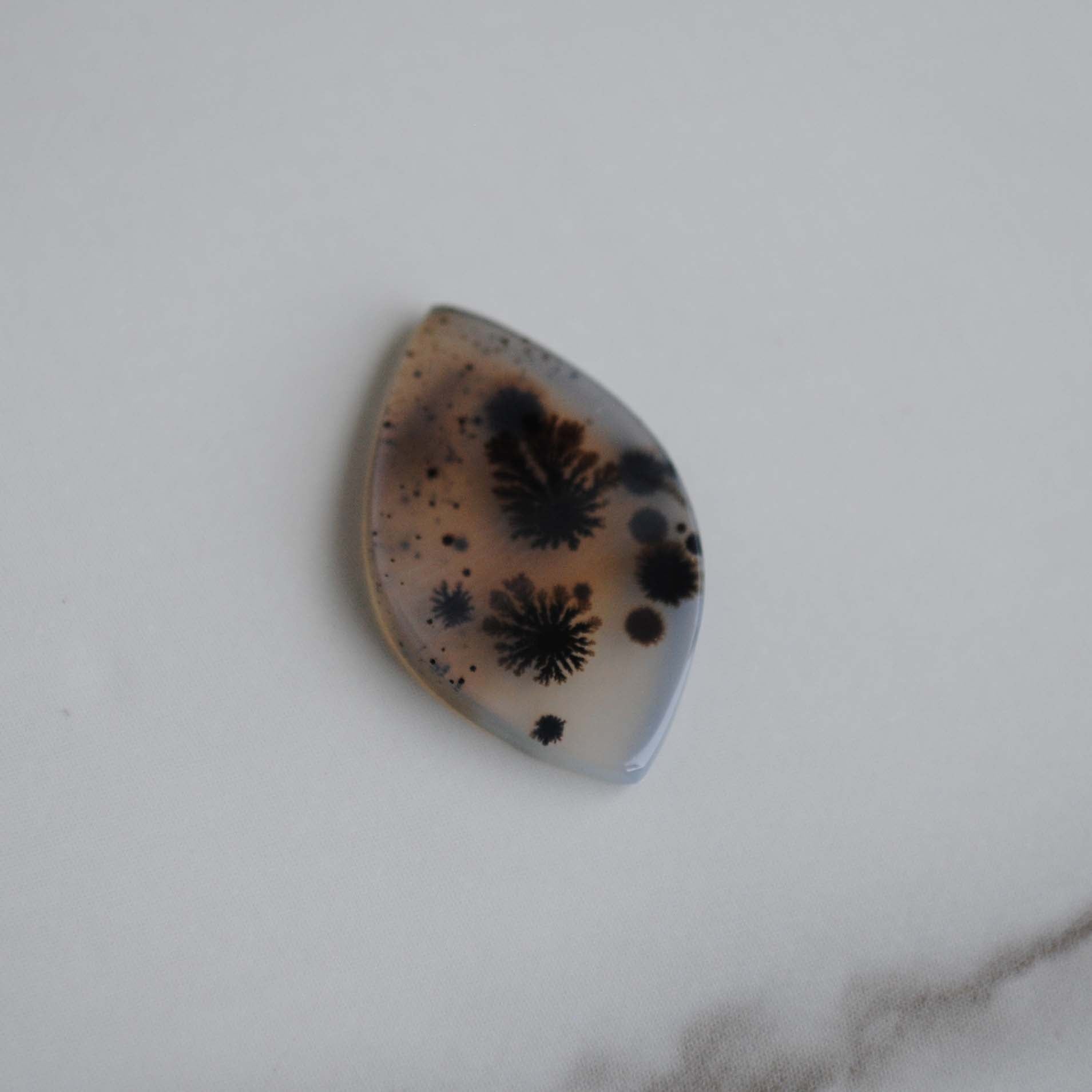 Dendritic agate stone on a light background