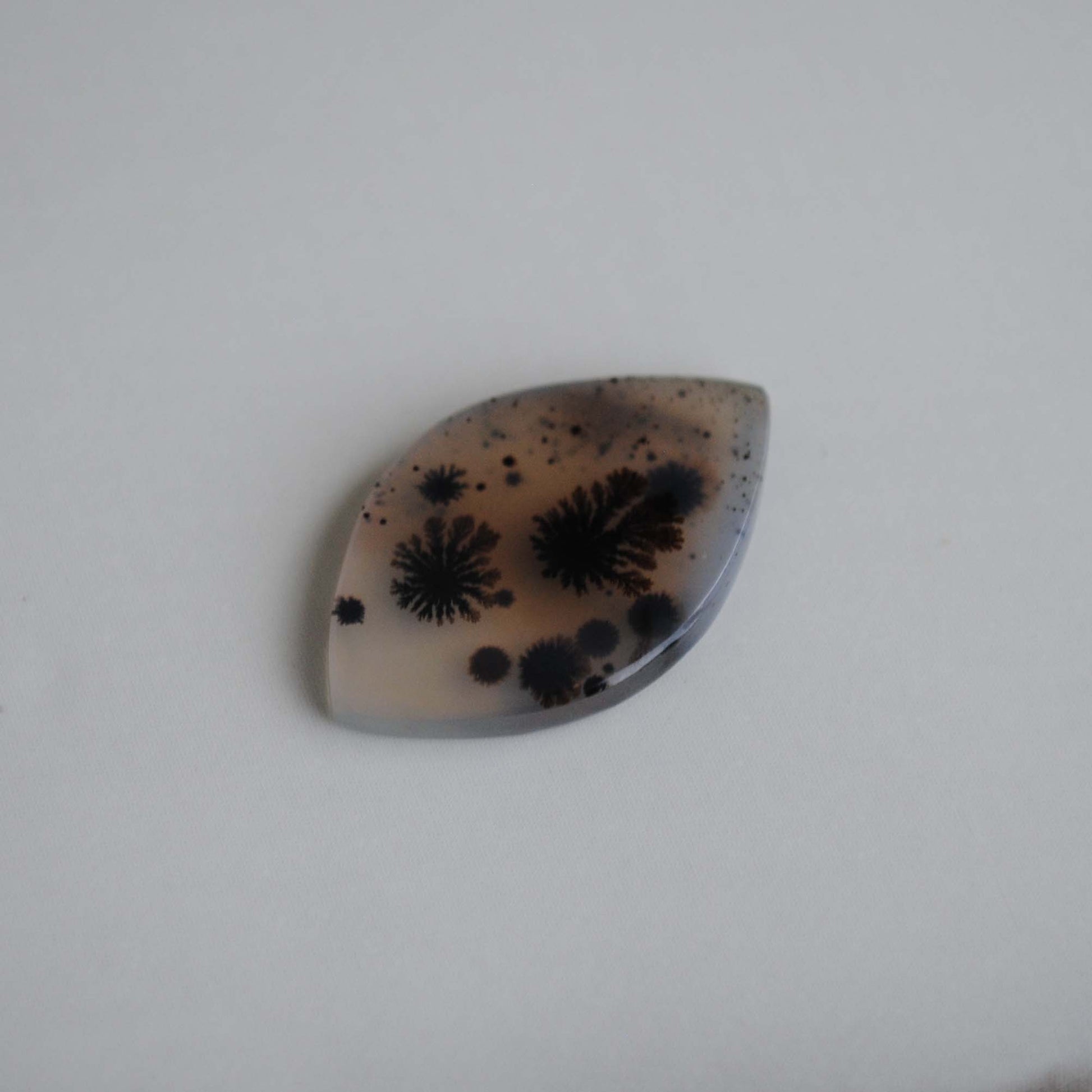 Dendritic agate stone on a light background