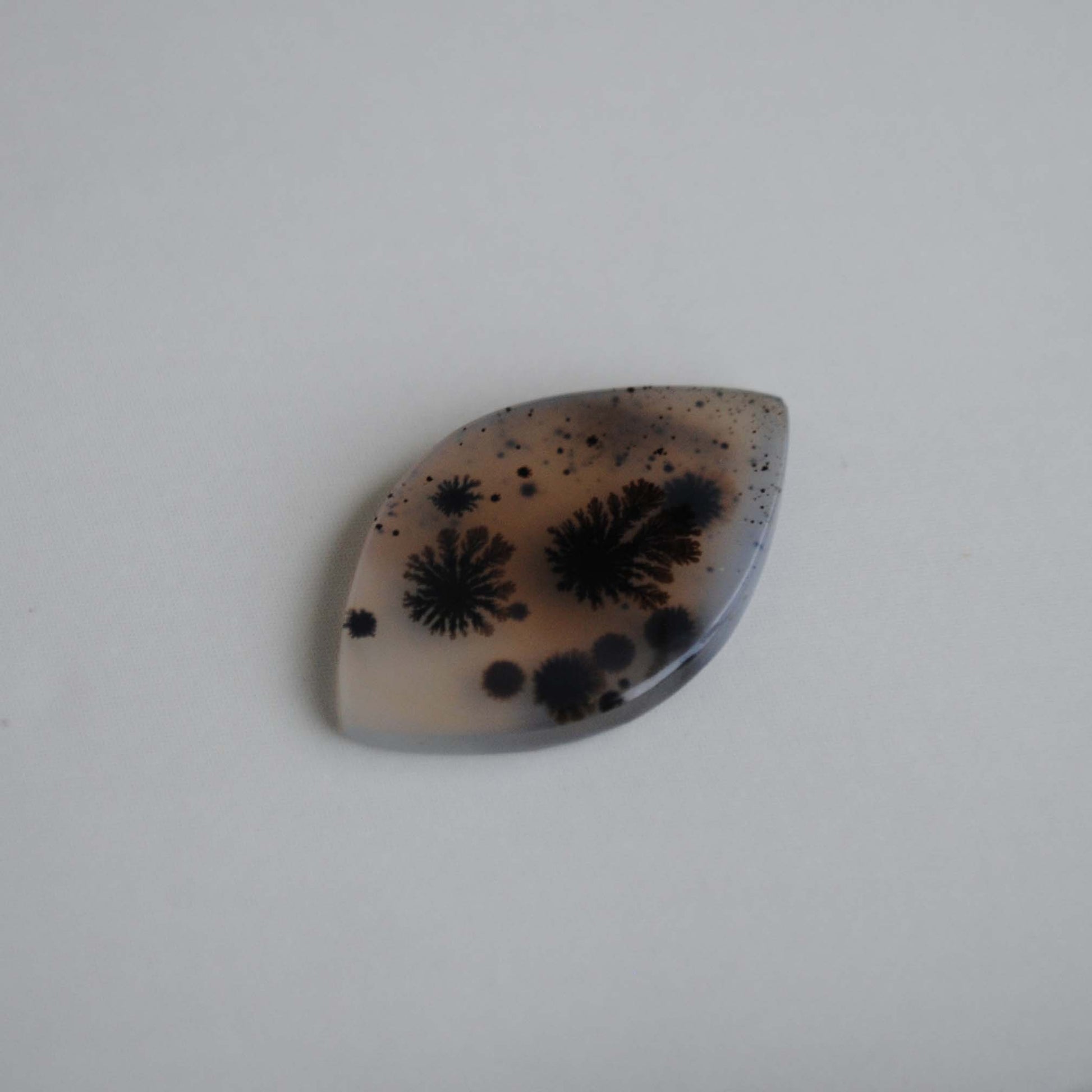 Dendritic agate stone on a light background