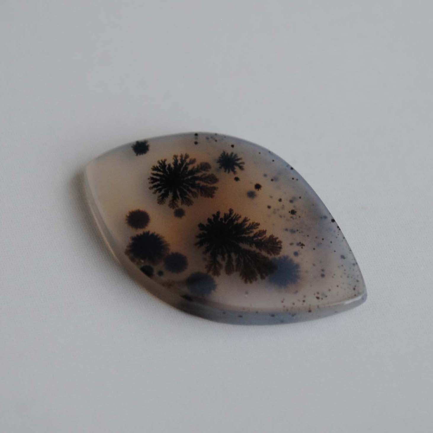 Dendritic agate stone on a light background