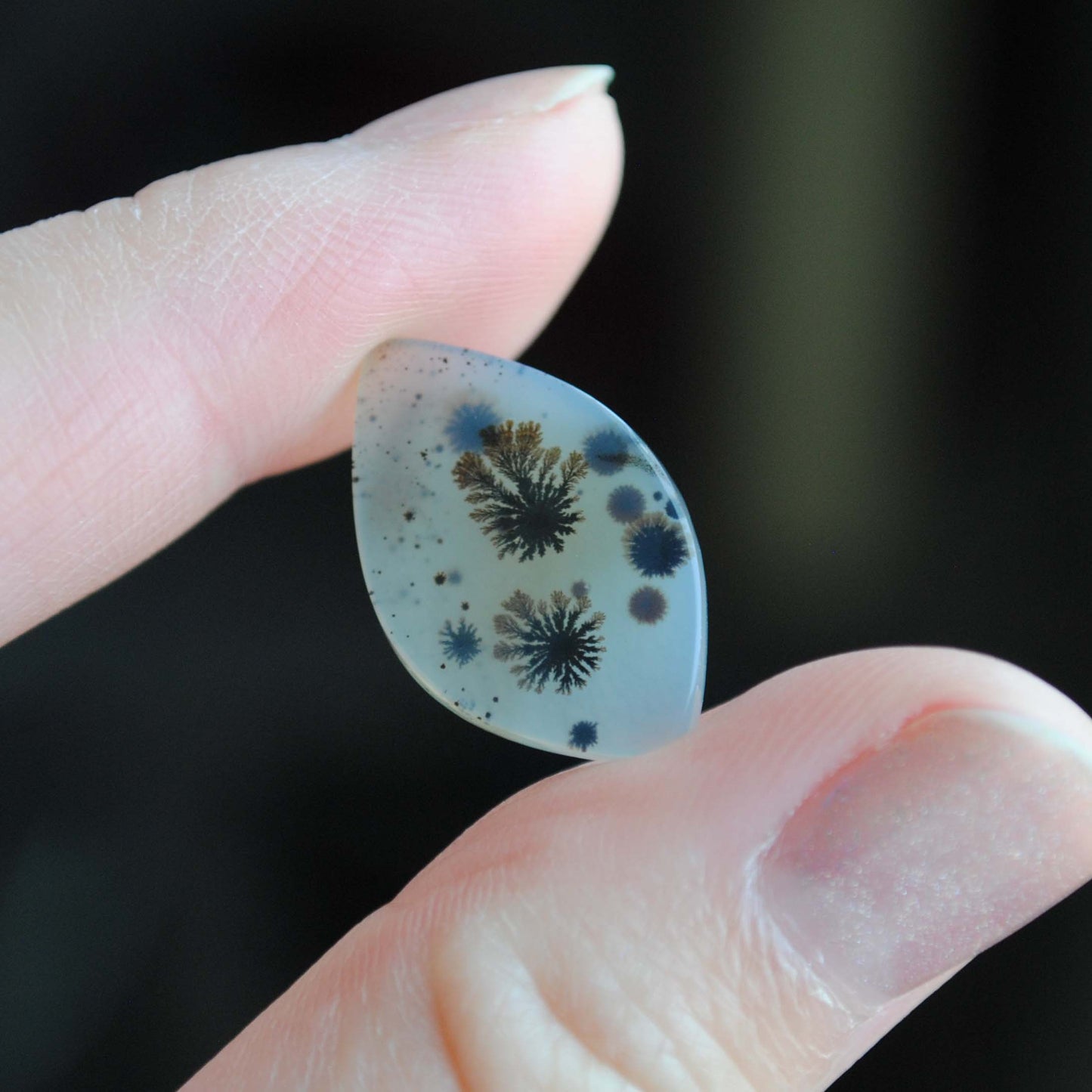 Dendritic agate stone held by fingers