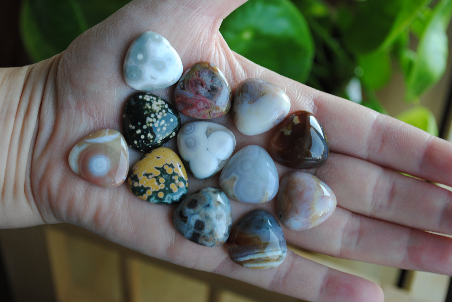 20mm trillion Ocean Jasper cabochons